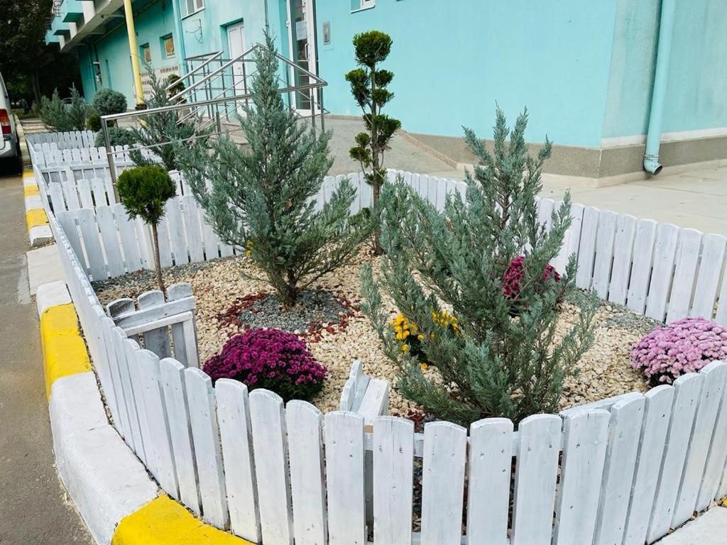 Apartament Summerland Mamaia Nord Ngoại thất bức ảnh